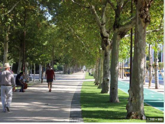 Alleanza, Aires De Guadalquivir Sevilla Kültér fotó
